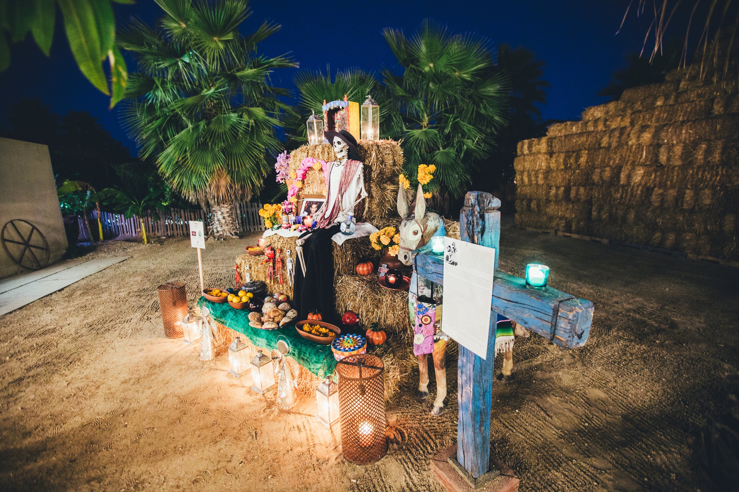 20151030DiadeMuertosFloraFarms0144.jpg