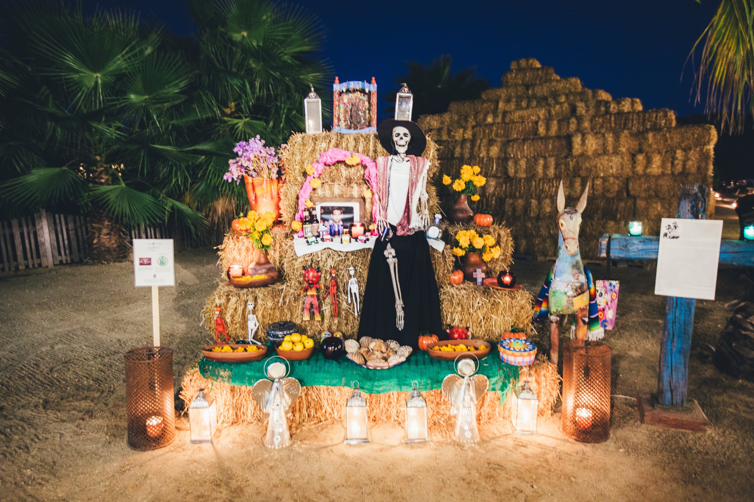 20151030DiadeMuertosFloraFarms0145.jpg