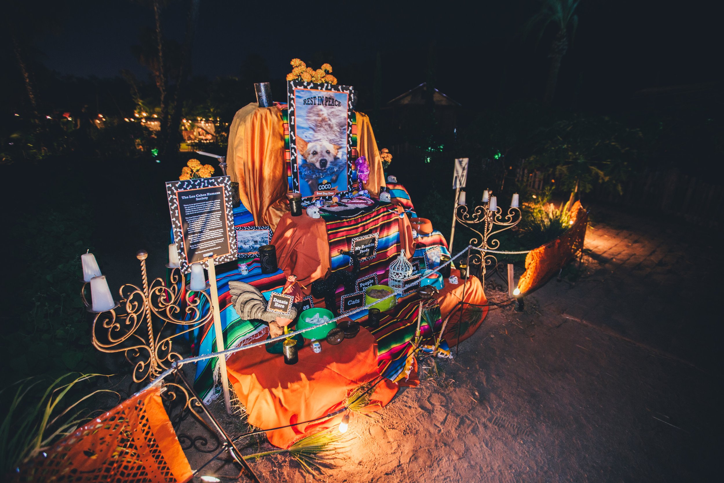 20151030DiadeMuertosFloraFarms0150.jpg