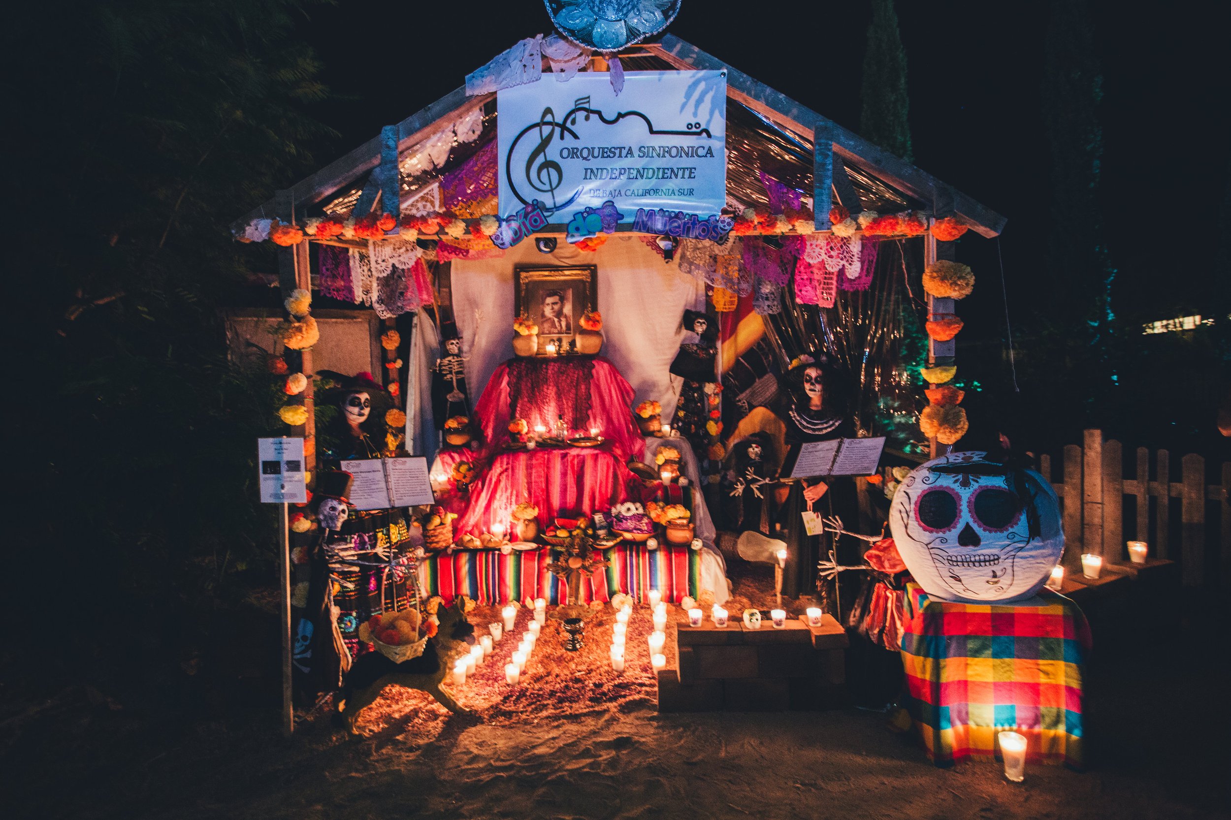 20151030DiadeMuertosFloraFarms0177.jpg