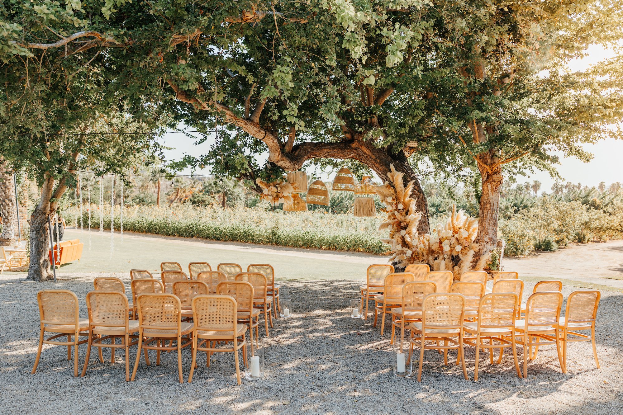 2022CelestusweddingsDeenandTomWedding(203).jpg