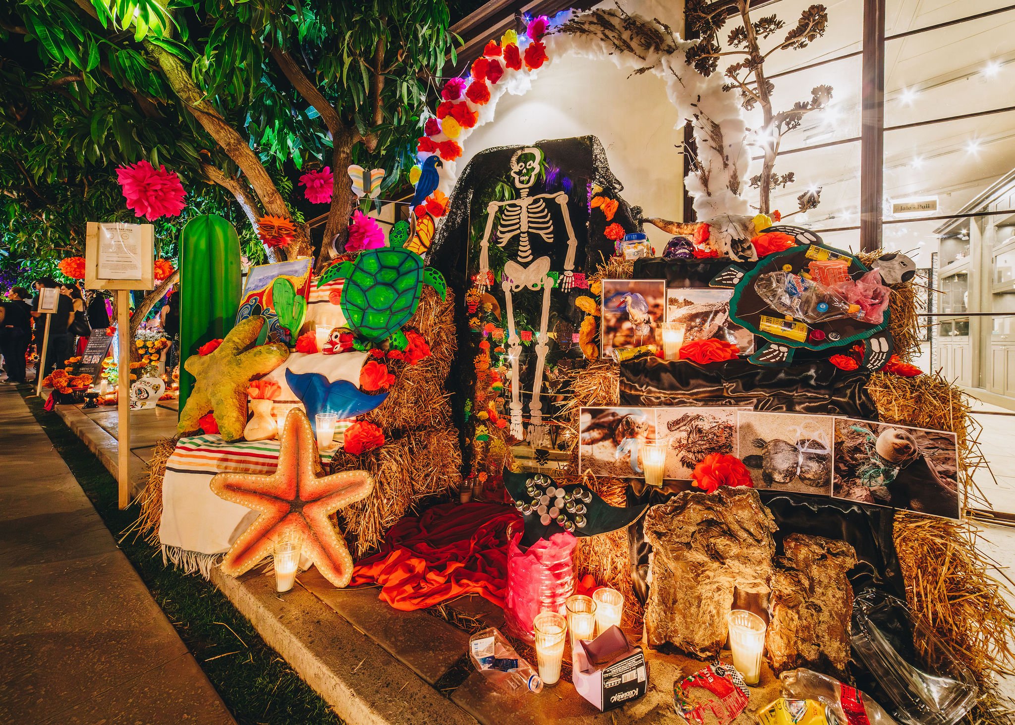 2024_10_31DayoftheDead-56.jpg