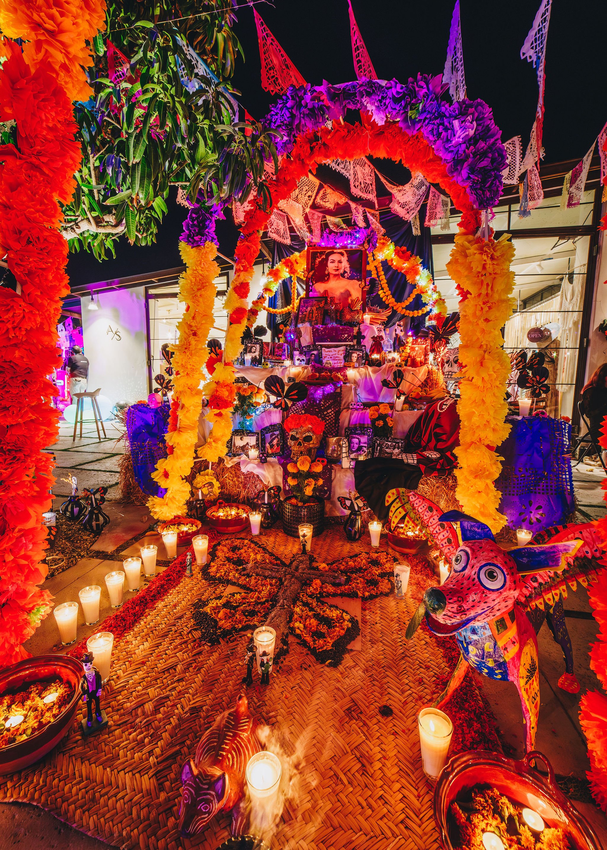 2024_10_31DayoftheDead-58.jpg