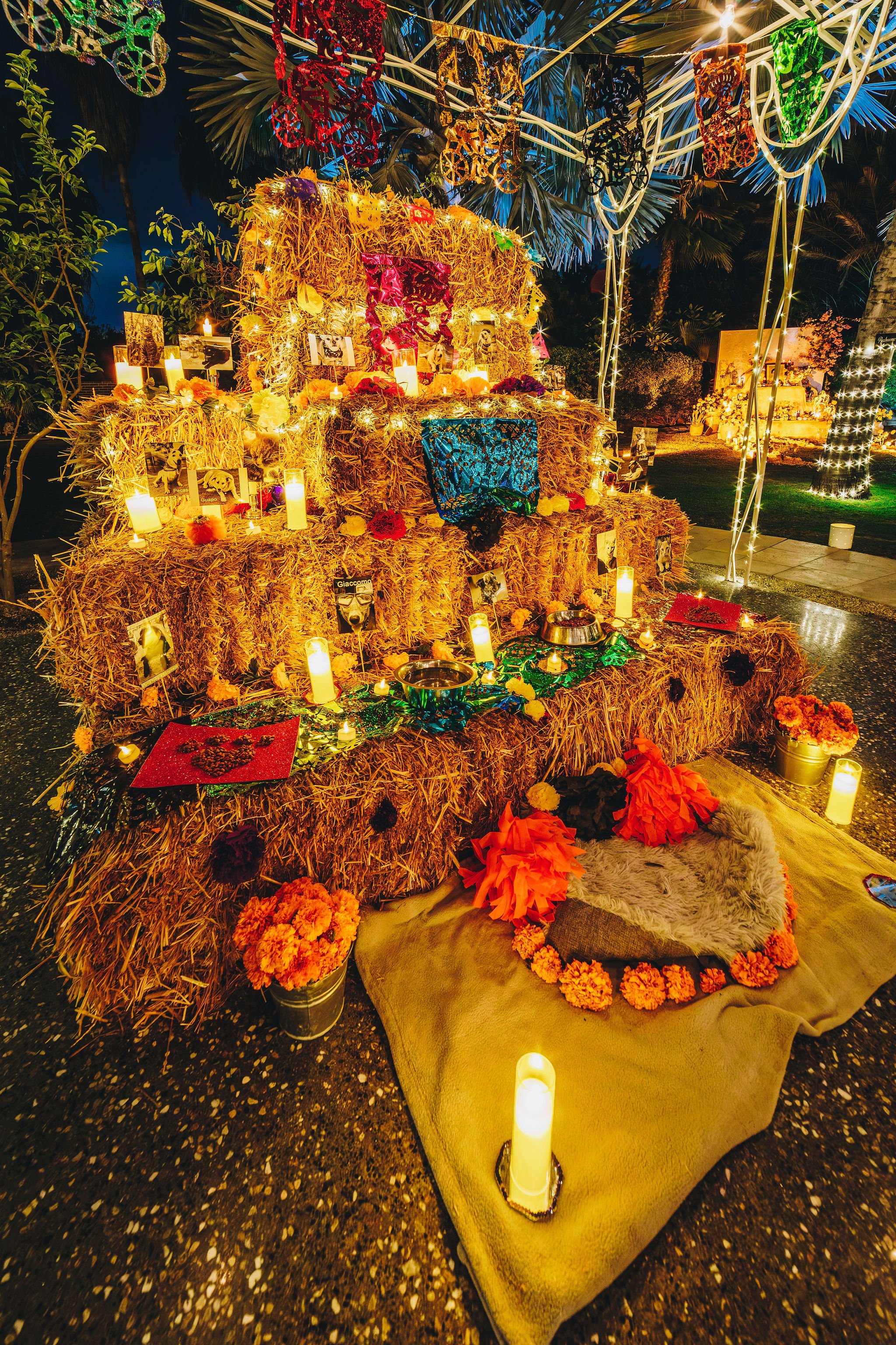 2024_10_31DayoftheDead-77.jpg