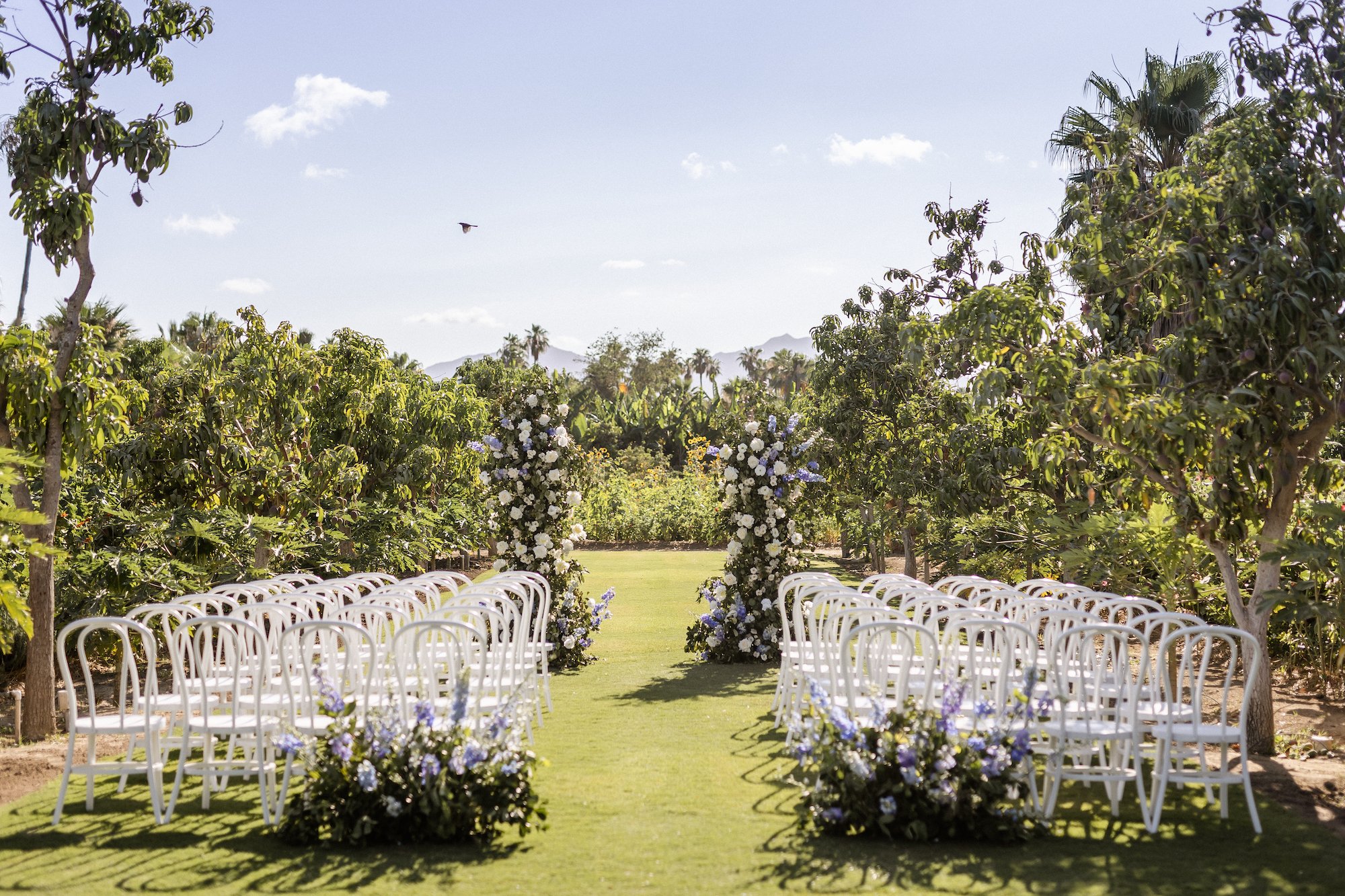 Flora_Farms_Cabo_Wedding_Photographer_Sara_Richardson-9386.jpg