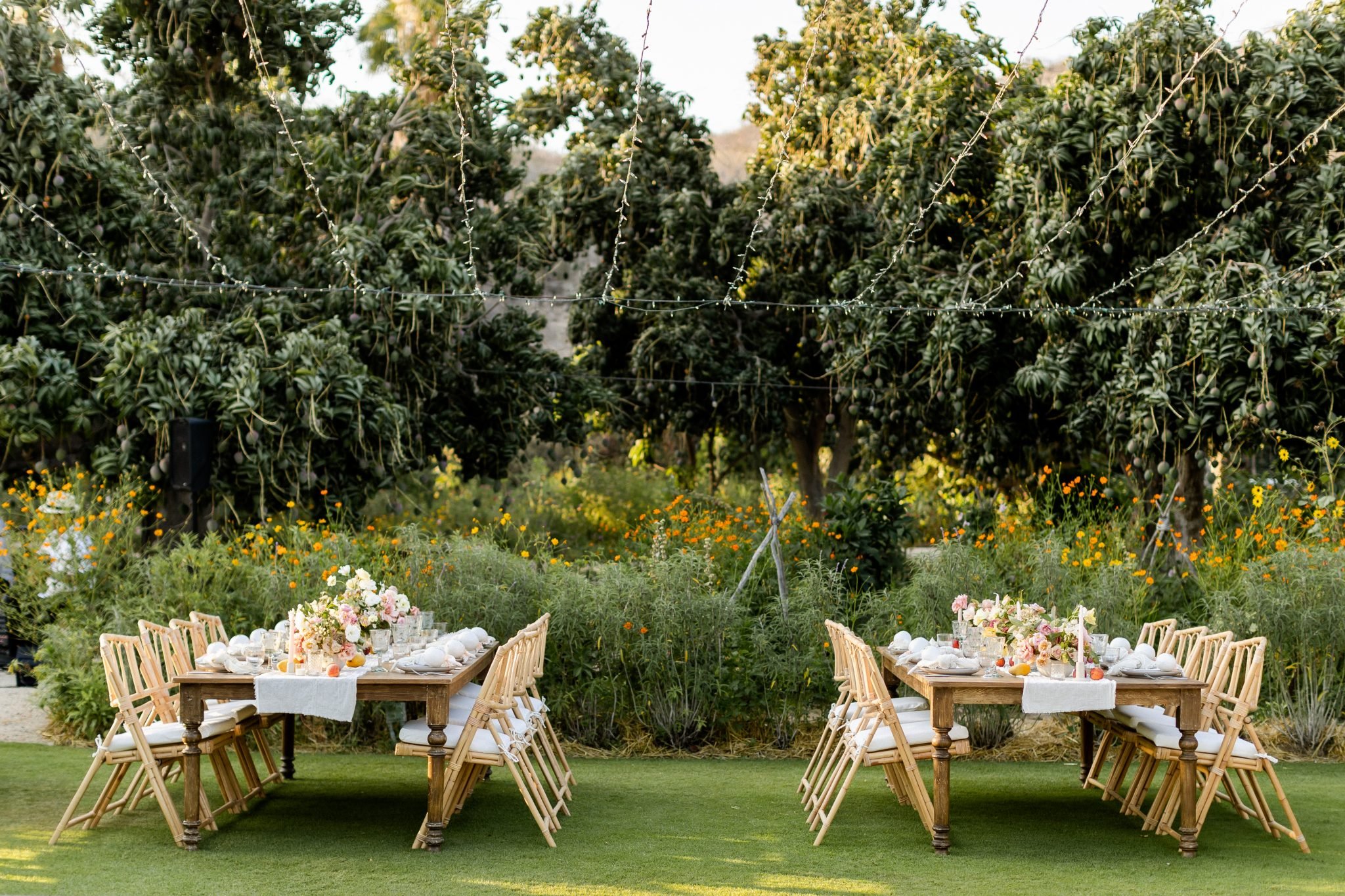 Flora_Farms_Cabo_Wedding_Photographers_Sara_Richardson-1900-scaled.jpg