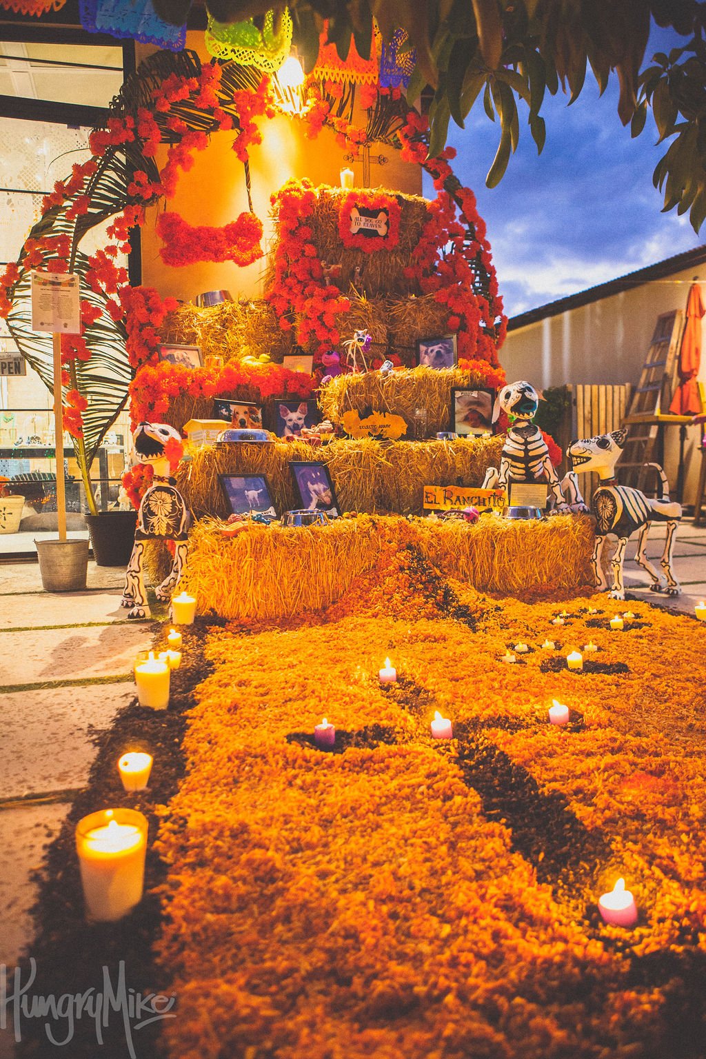 FloraDiadeMuertos-60.jpg