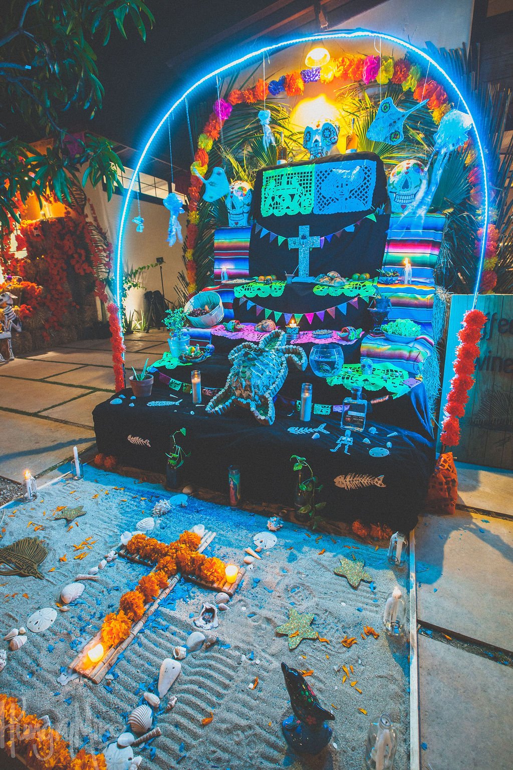 FloraDiadeMuertos-82.jpg