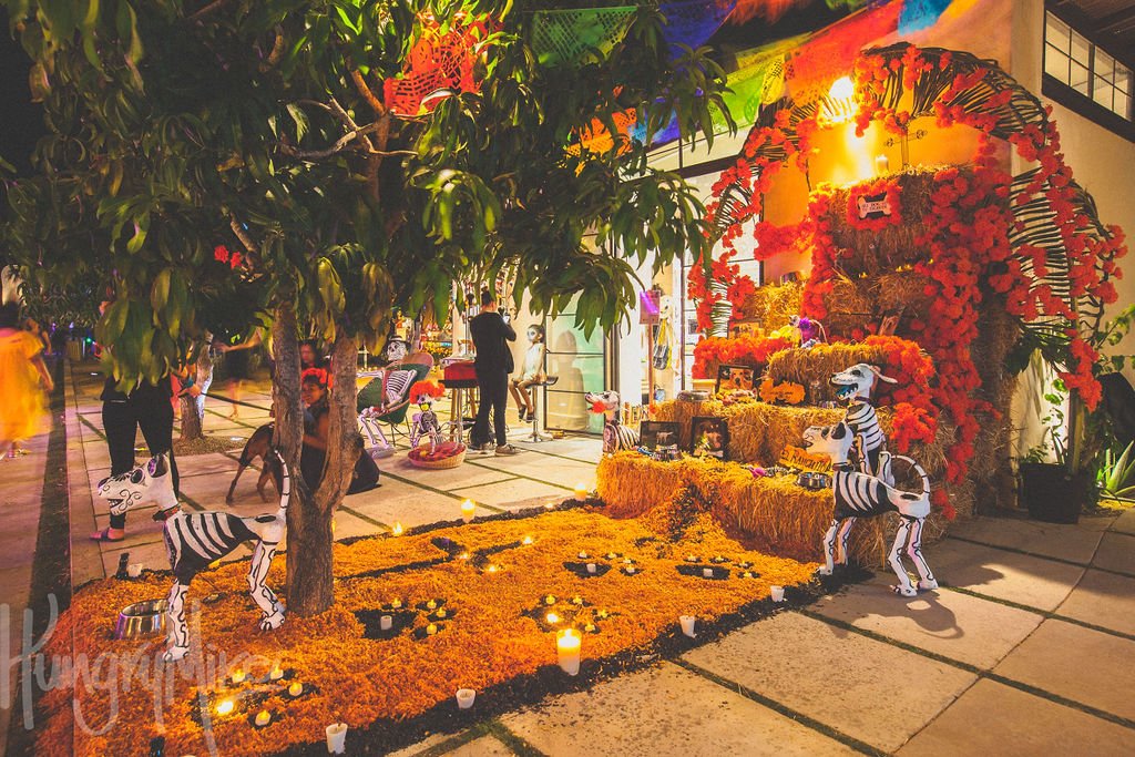FloraDiadeMuertos-83.jpg
