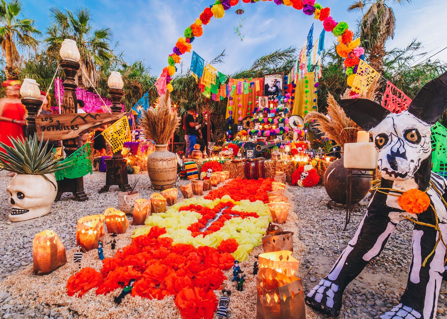 FloraFarmsDayoftheDead-1.jpg