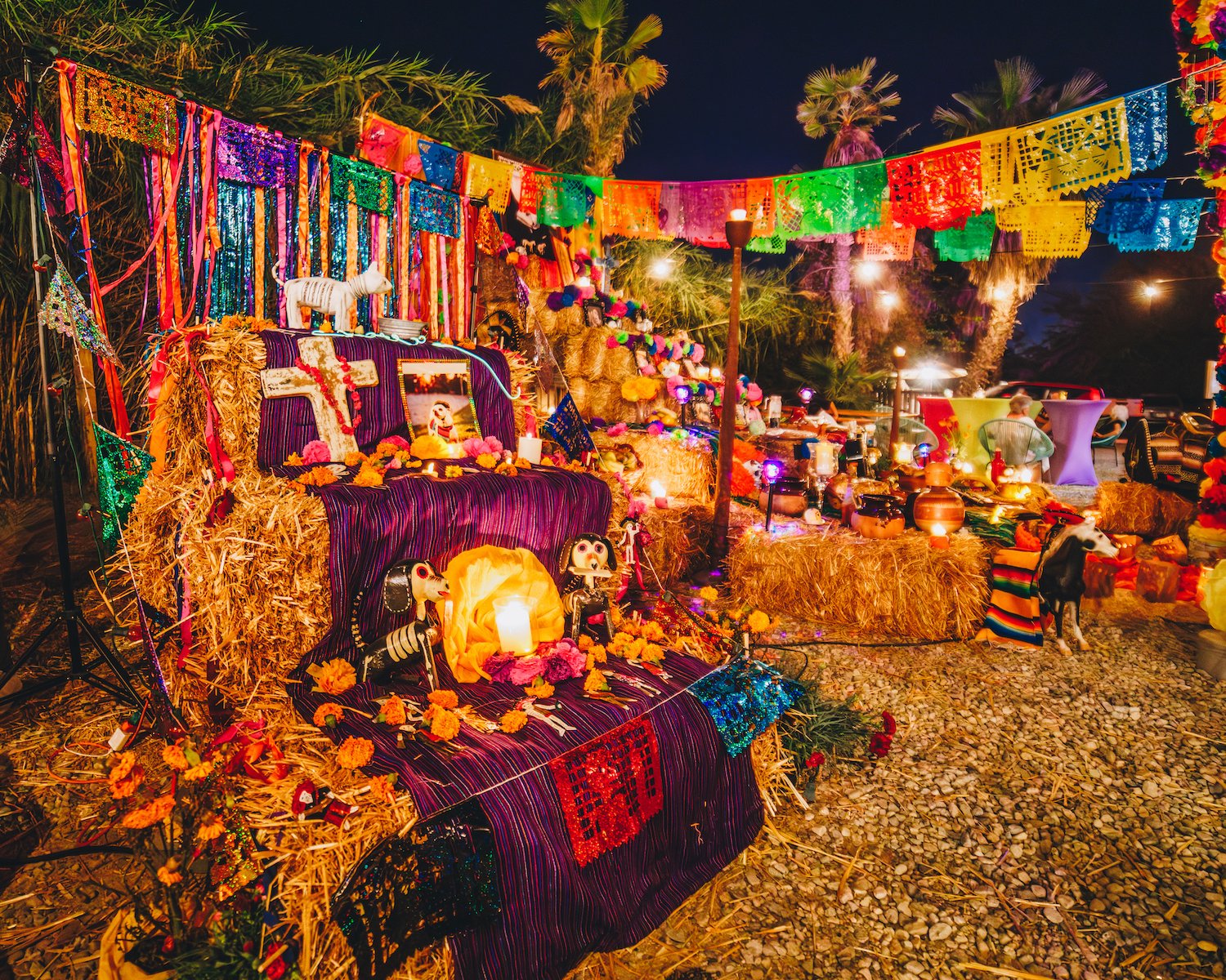 FloraFarmsDayoftheDead-21.jpg