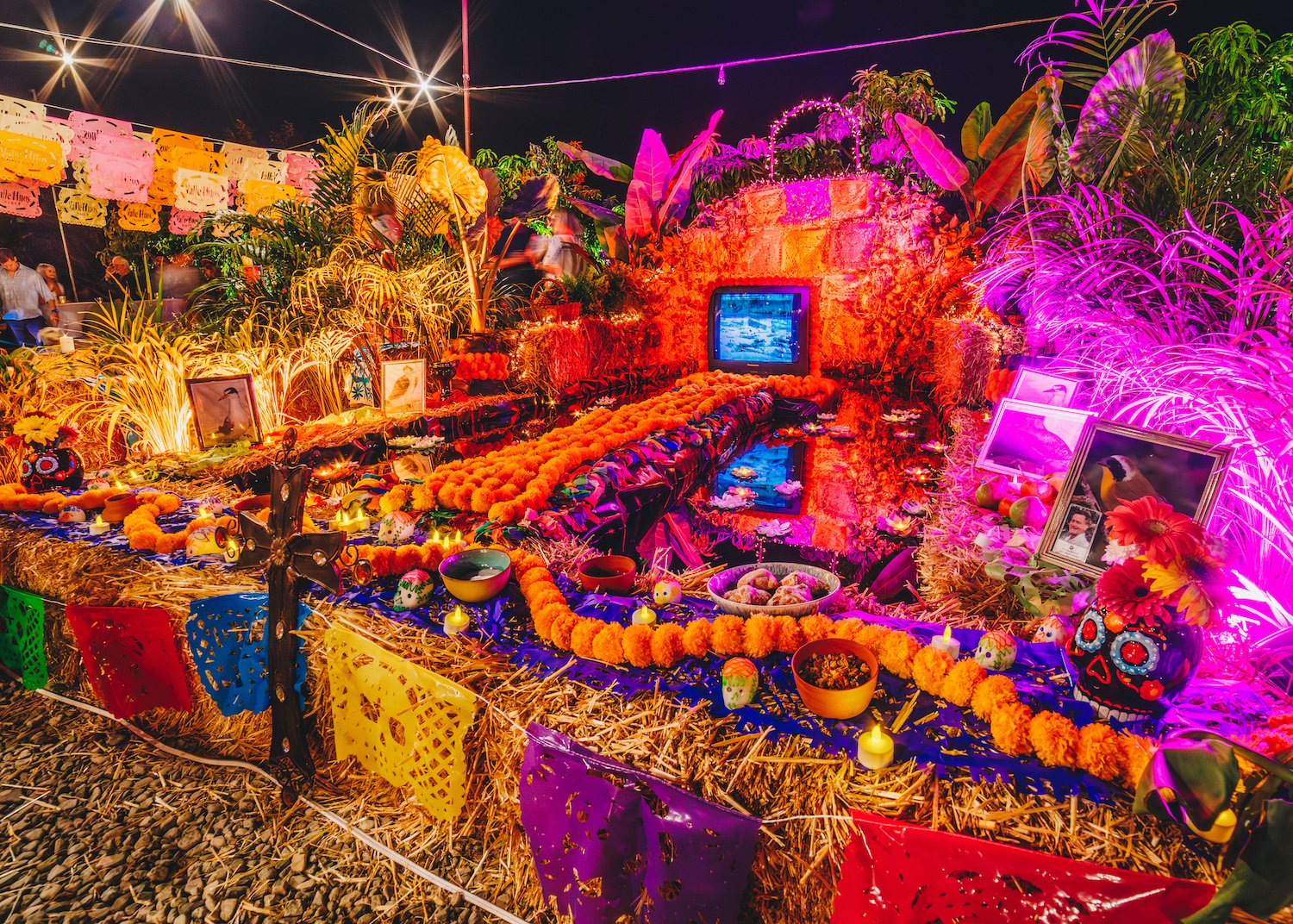 FloraFarmsDayoftheDead-23.jpg
