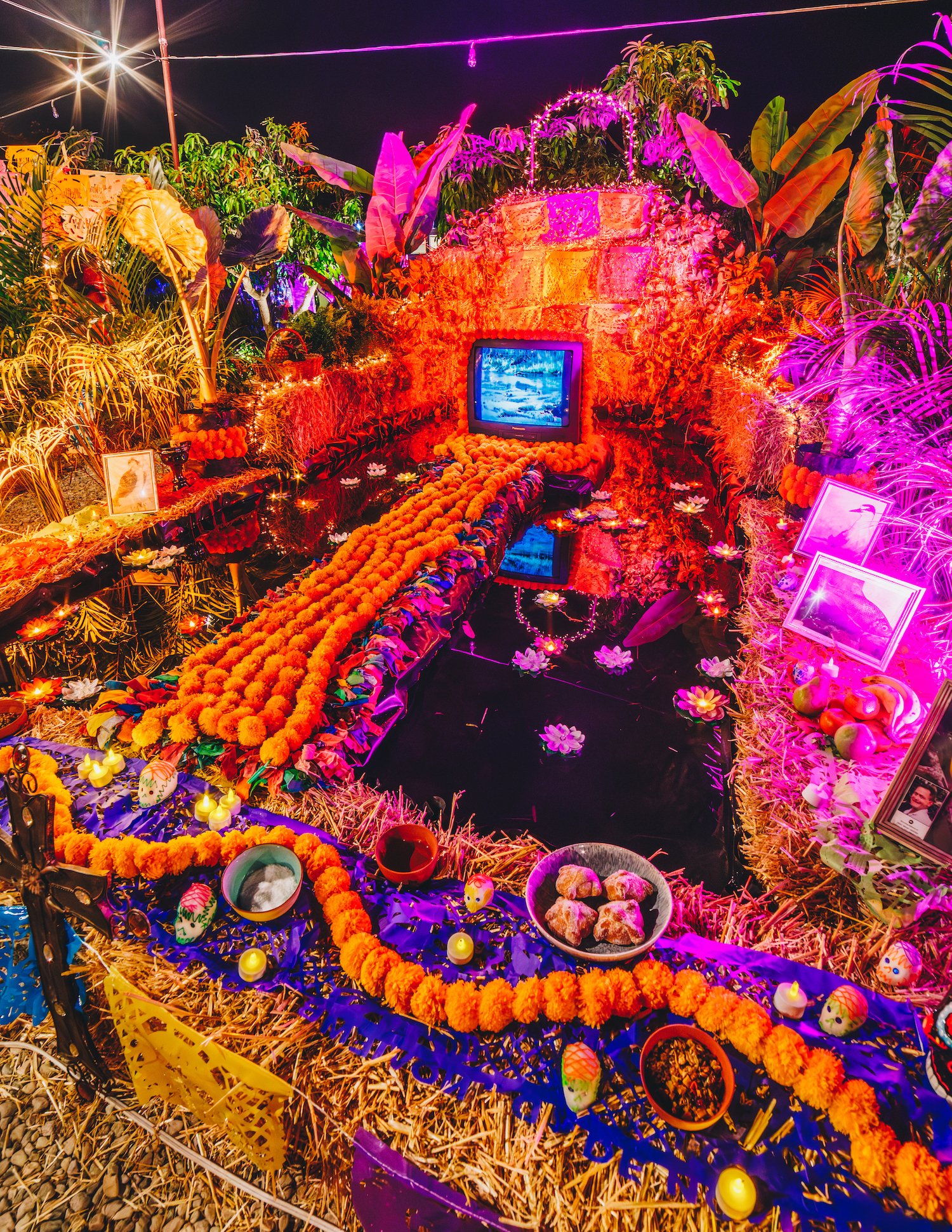 FloraFarmsDayoftheDead-24.jpg