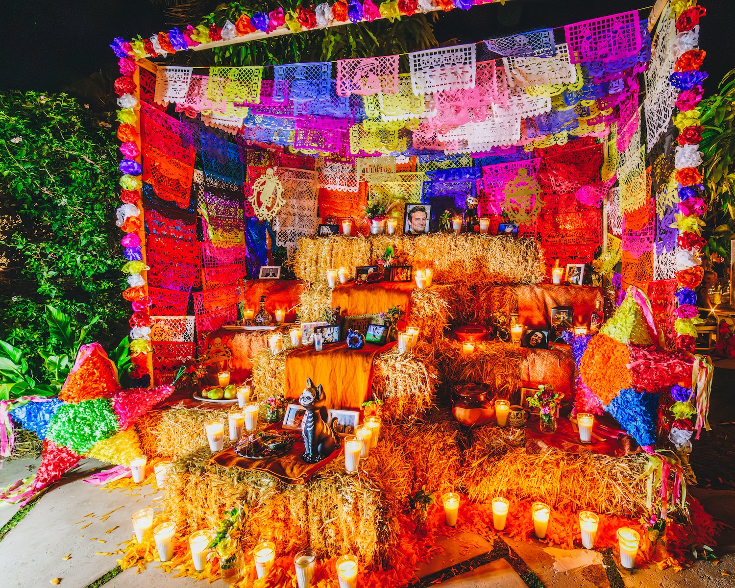 FloraFarmsDayoftheDead-37.jpg