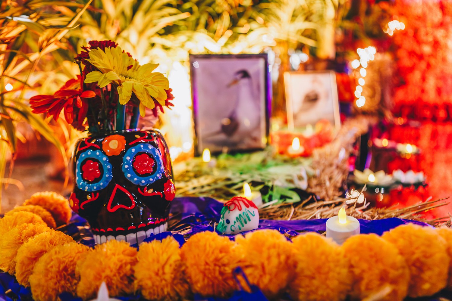FloraFarmsDayoftheDead-65.jpg