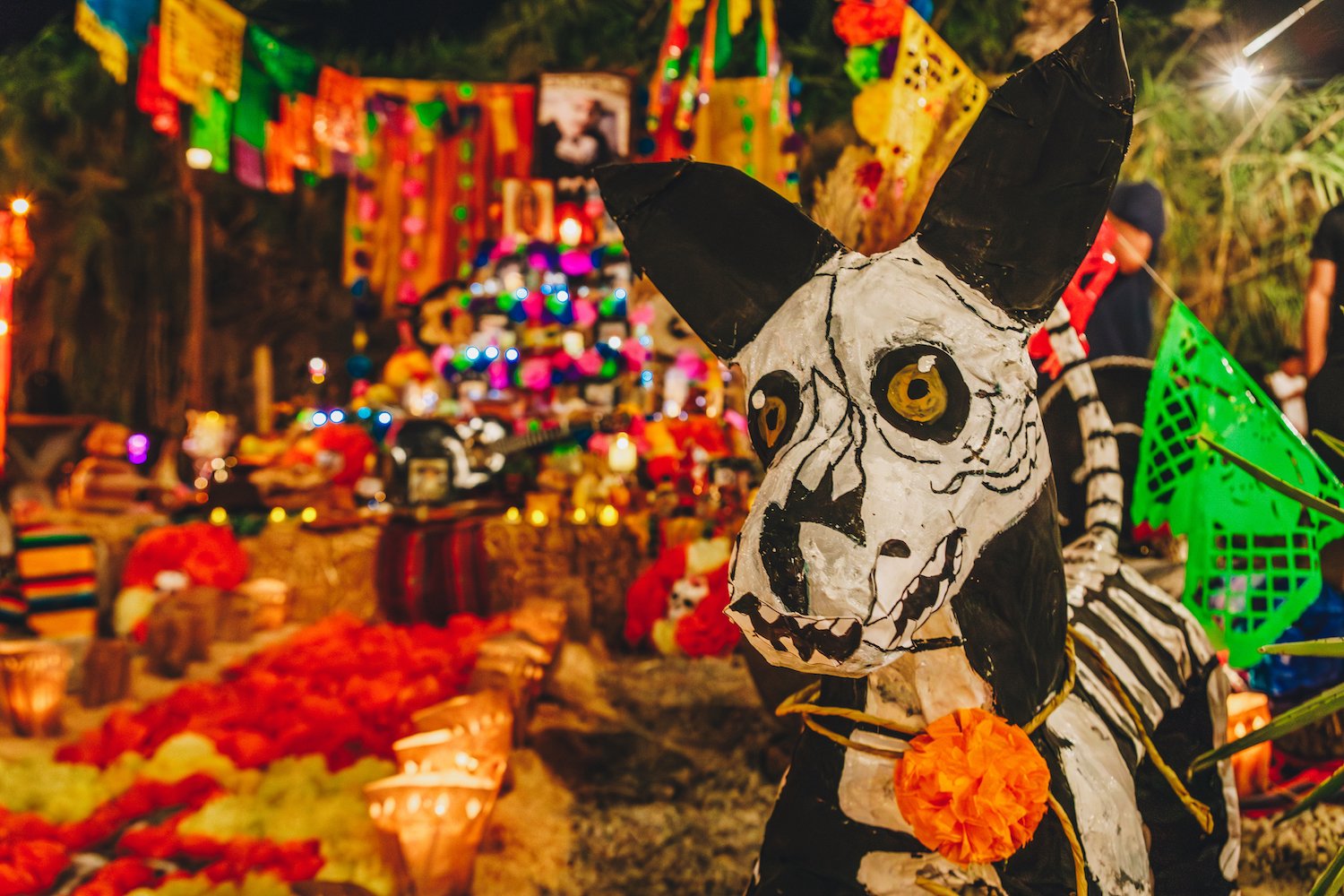 FloraFarmsDayoftheDead-71.jpg
