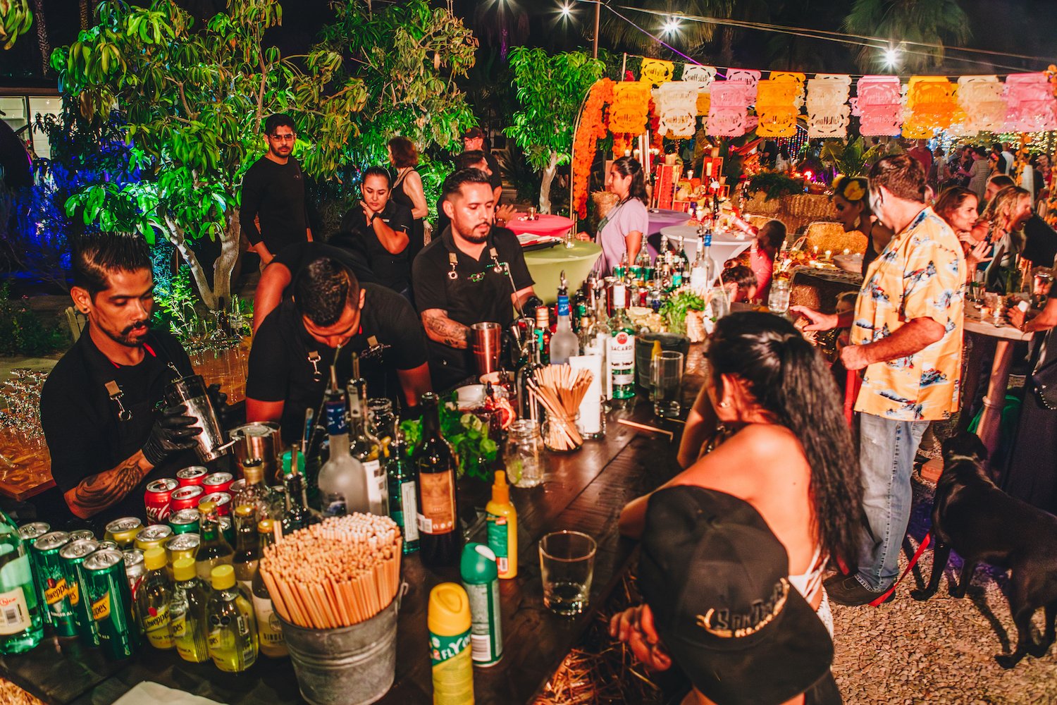 FloraFarmsDayoftheDead-73.jpg