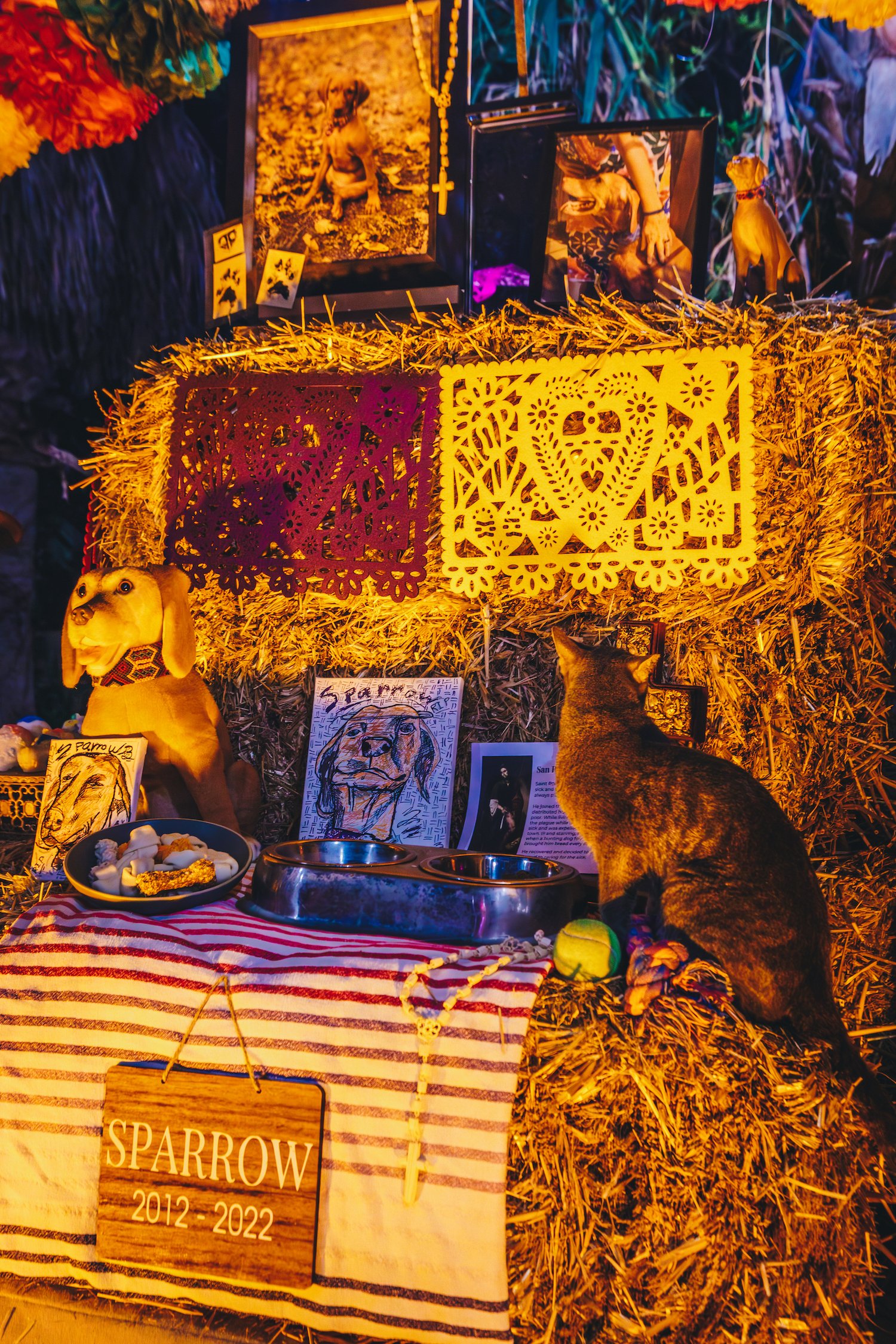 FloraFarmsDayoftheDead-77.jpg