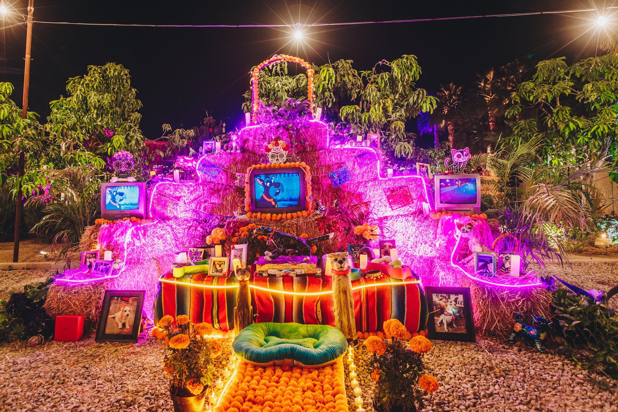 FloraFarmsDiadeMuertos-14.jpg