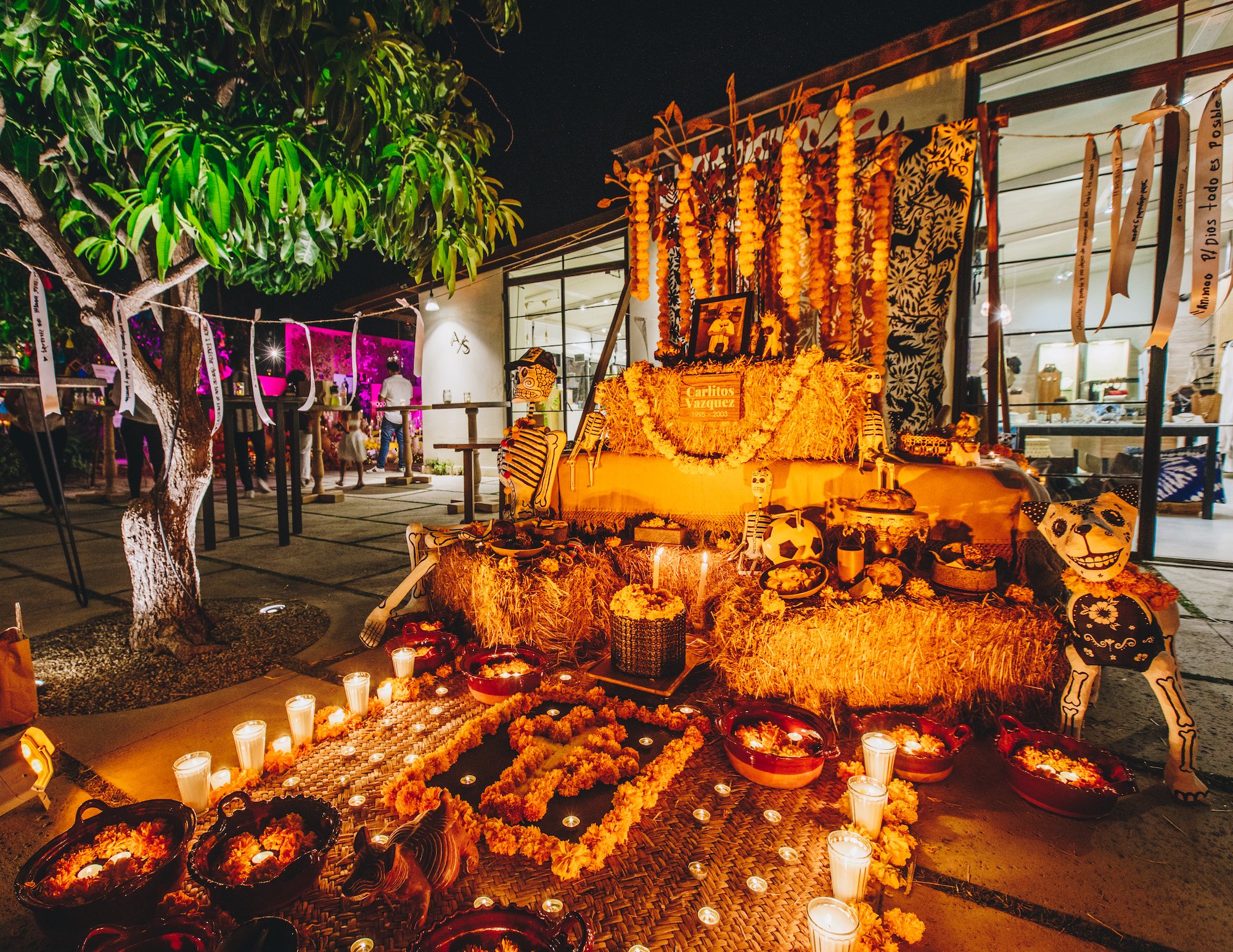 FloraFarmsDiadeMuertos-19.jpg