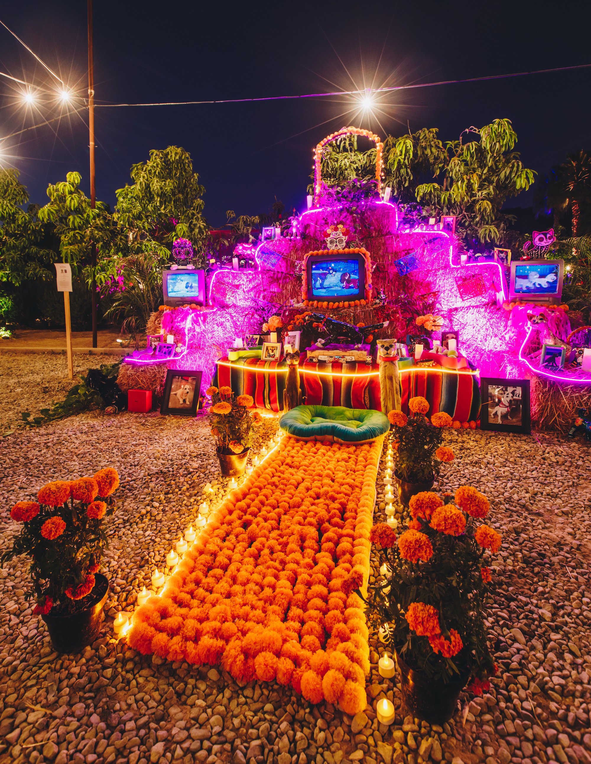FloraFarmsDiadeMuertos-9.jpg