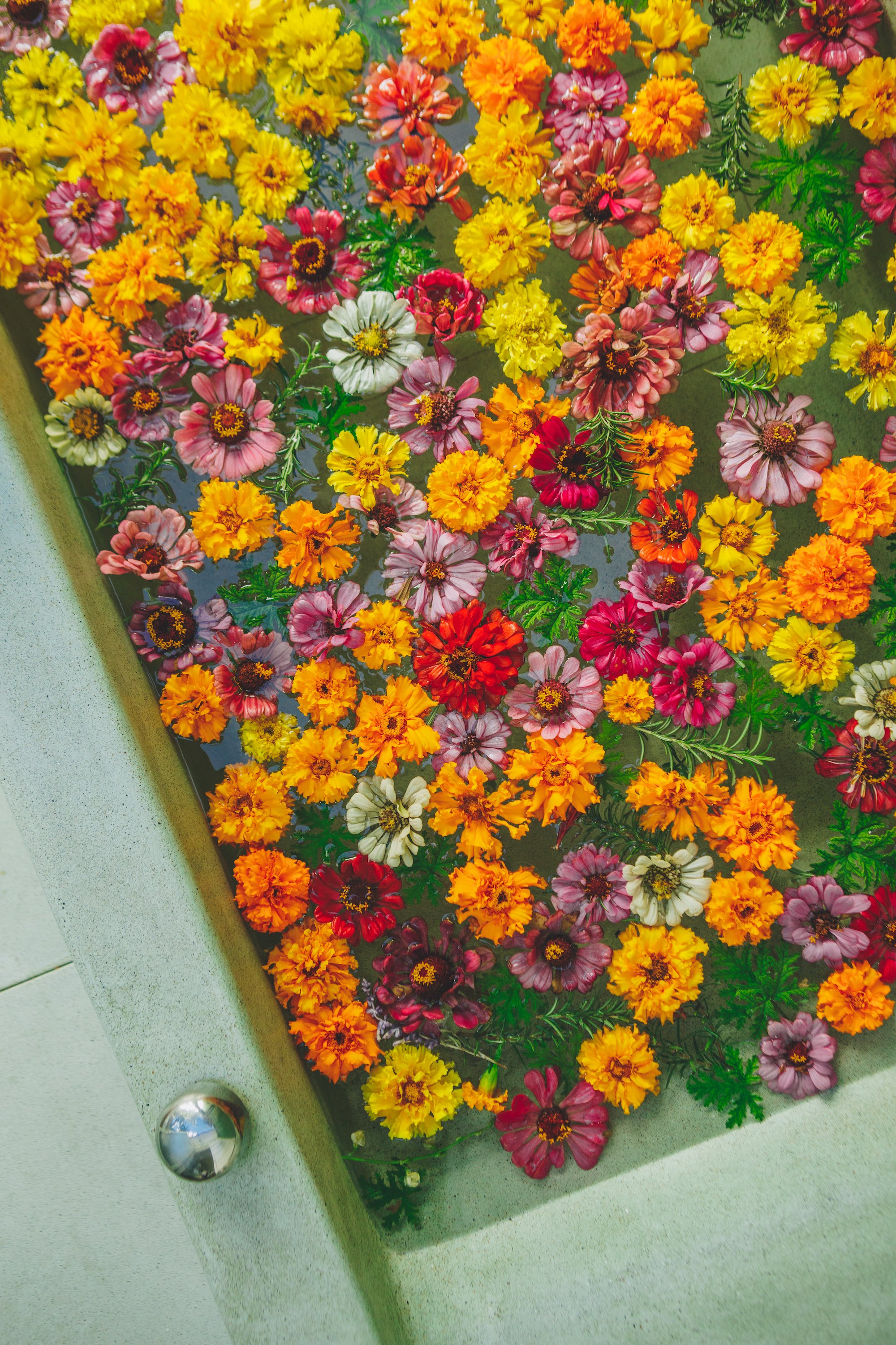 FloraFarmsSpa-46.jpg